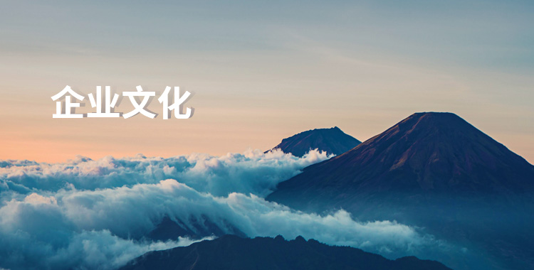 企业文化